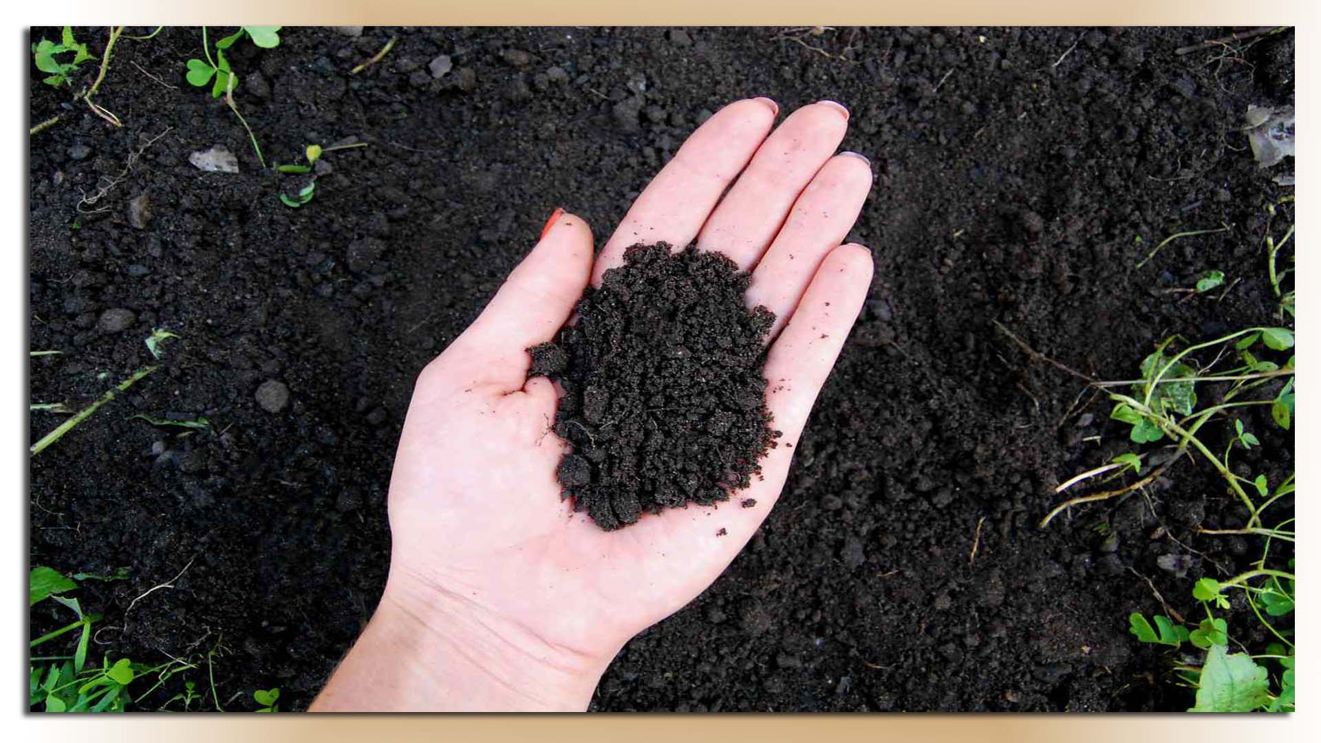 Best Loam Soil for Agriculture