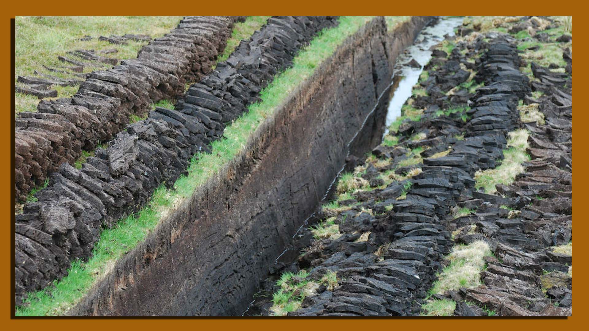 Peaty Soil is rich in organic matter